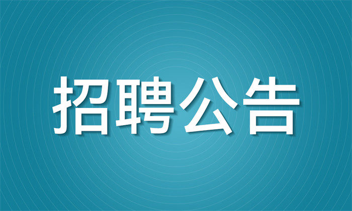 2026年度教师招聘公告（二）
