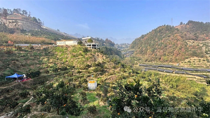 橘颂传薪知行路  峡光启智育英才 | 宜昌知艺高中
